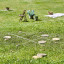Moments Of Play Noughts and Crosses on the lawn