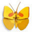 Studio ROOF Yellow Butterfly Wall Decor