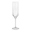 Crystalex Uma Lead-Free Crystal Champagne Flutes, Set of 6