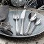 Viners Grace Cutlery Set, 16 Piece on the table