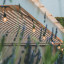 Litehouse Traditional Plug-In LED Festoon Outdoor Bulb String Lights, 15m hanging on a rail