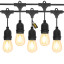 Litehouse Traditional Plug-In LED Festoon Outdoor Bulb String Lights, 10m