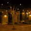 Litehouse Solar LED Black String Fairy Lights, 20m on a tree