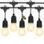 Litehouse Traditional LED Plug-In Festoon Replacement Bulb detail