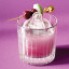 Zoku Crown Ice Moulds & Cocktail Glasses, Set of 4 in a glass