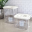 Trendz Of Today Large Airtight Food Storage Container - 9L on the table