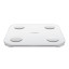 Xiaomi S400 Body Composition Scale angle