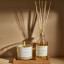 Amanda Jayne Wild Orchard Glass Collection Candle, 310ml with a diffuser