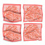 Cara Saven 4 Decor Coral Club Napkins, Set of 4