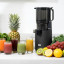 DNA Cold Flow Juicer