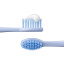 Ordo Sonic Kids Squishmallows Samir Battery Toothbrush detail