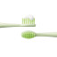 Ordo Sonic Kids Brush Heads for Squishmallows Rutabaga Battery Toothbrush, Pack of 2 detail