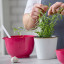 Rosti Margrethe Mixing Bowl, 3L - Beetroot with a plant