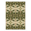 Hendrik Willem Suikerbekkie Wrapping Paper, Set of 4