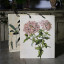 Hendrik Willem Botanical A3 Gift Bags, Set of 3 with a different size