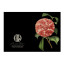 Hendrik Willem Black Collection Cards, Set of 10 detail