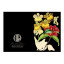 Hendrik Willem Black Collection Cards, Set of 10 detail
