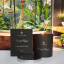 Charisma Candles Forest Rain Luxury Scented Filled Candle, 250g