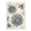 Halo Dish Covers African Flowers Cotton Tea Towel - Midnight Blue