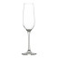 Salisbury & Co Unbreakable Champagne Flutes, Set of 4