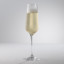 Salisbury & Co Signature Lead-Free Crystal Champagne Flute Glasses, Set of 6 on the table