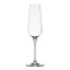 Salisbury & Co Signature Lead-Free Crystal Champagne Flute Glasses, Set of 6