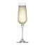 Salisbury & Co Signature Lead-Free Crystal Champagne Flute Glasses, Set of 6 angle