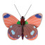 Studio ROOF Delias Butterfly Wall Decor