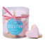 The Biscuitry Pink Hearts Iced Soetkoekies, 220g