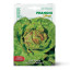 Franchi Sementi Seeds Regina Di Maggio Butter Lettuce, 6g