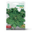 Franchi Sementi Seeds New Zealand Spinach Seeds, 4g