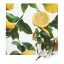 DSA Polyteq Lemon Napkins, Set of 6