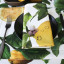 DSA Polyteq Lemon Placemats, Set of 6 on the table with a plate