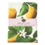 DSA Cotton Lemon Tablecloth - 6-Seater packaging