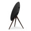 Bang & Olufsen Beosound A9 5th Gen Bluetooth Speaker - Black Anthracite angle