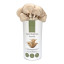 Wild Plum Growers Grey Oyster Mushroom Grow Kit detail