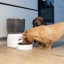 Bneta Automatic Wi-Fi Smart Pet Feeder with dogs