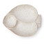 Humble & Mash Reactive White Fish Platter