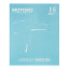 Moyoko E8 UltraBlast Hair Dryer, 2400W - Aqua packaging