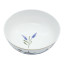 Jenna Clifford Wild Bloom Cereal Bowls, Set of 4 angle