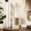 Xiaomi Smart Scent Diffuser Refill Oil, 135ml - Wood & Tea with a diffuser