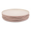 Jamie Oliver Big Love Stoneware Perfect Plates, Set of 4