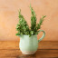 Jamie Oliver Big Love Stoneware Joy Jug, 650ml on the table with a plant