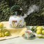 Olivia Princess Whistling Stovetop Kettle, 2.5L