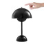 Arc & Hue Selene Portable & Rechargeable Lamp - Black