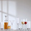 Luigi Bormioli Bach Whisky Set, Set of 5 on the table