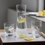 Lyngby Lisbon Carafe Set, 5-Piece with lemon water