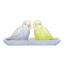 Cath Kidston Budgie Salt & Pepper Shakers, Set of 2 angle