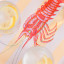 Yvonne Ellen Melamine Lobster Picnic Tray, 37cm detail