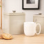 Artisan Street Biscuit Storage Canister - Neutral with biscuits on the counter